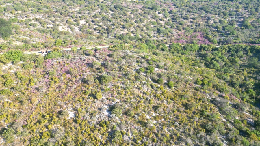 0 Bedroom Property for Sale in Pezula Private Estate Western Cape